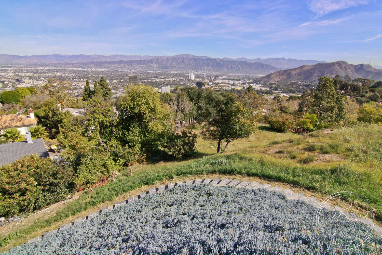 Retro 19 - road, outdoors, dirt road, gravel, tree, vegetation, fir, abies, conifer