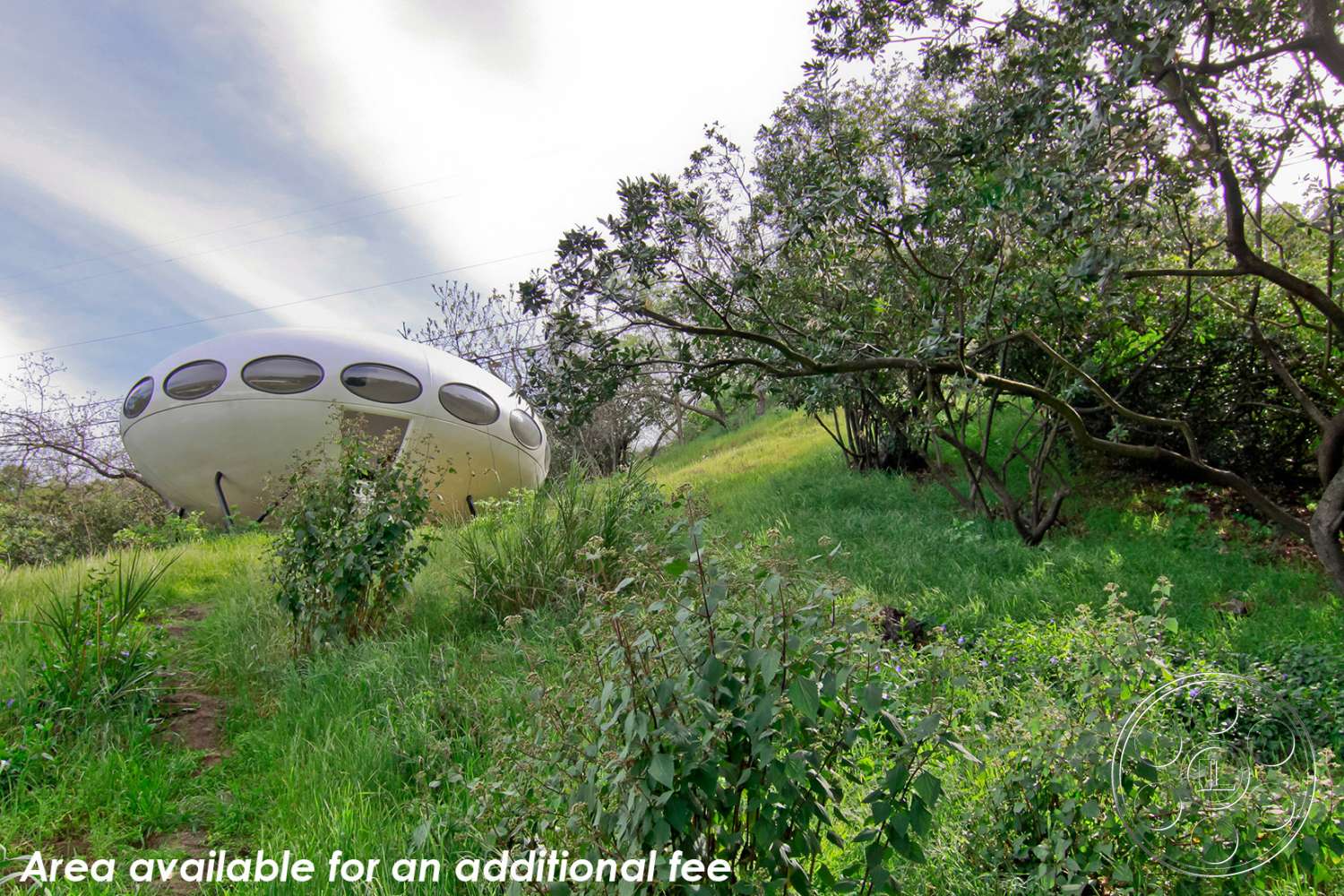 Retro 19 - tree, vegetation, grass