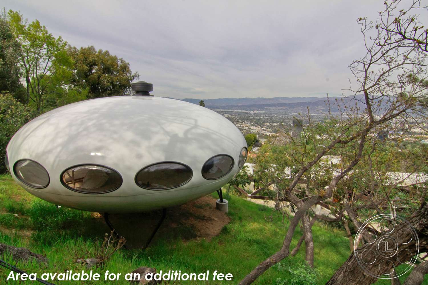 Retro 19 - outdoors, tree, vegetation, land, bush, grass, forest, woodland, grove