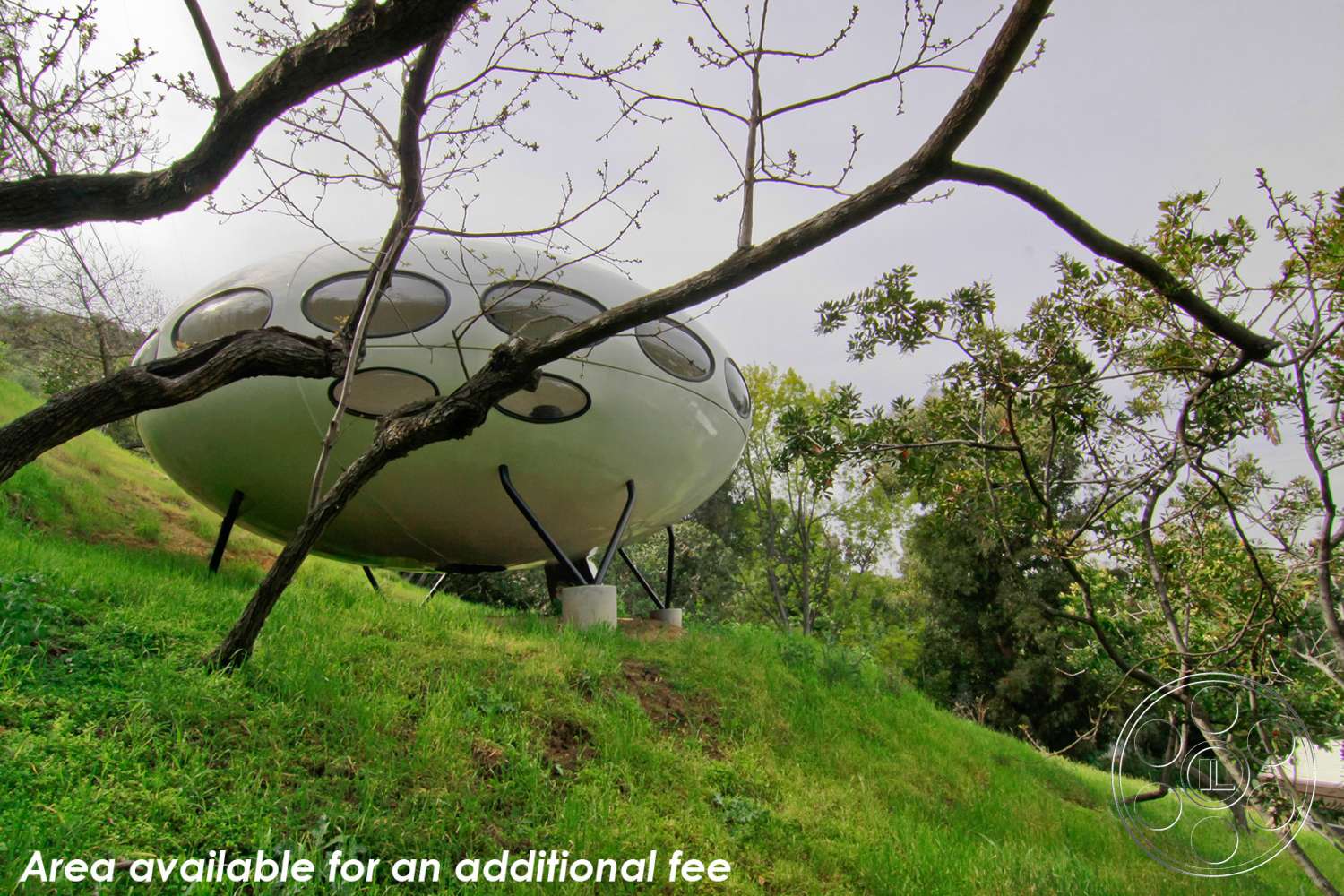 Retro 19 - animal, bird, outdoors, tree, grass