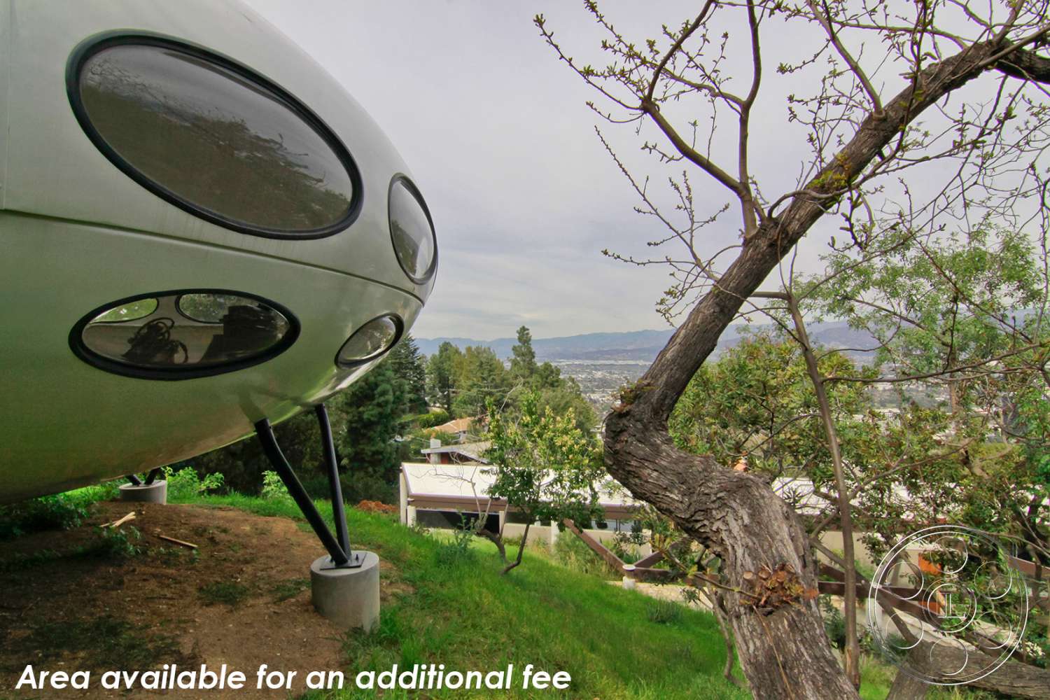 Retro 19 - tree, mirror