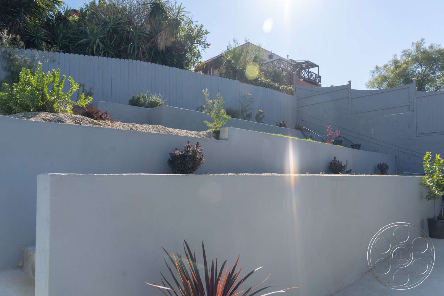 Americana 338 - plant, flare, light