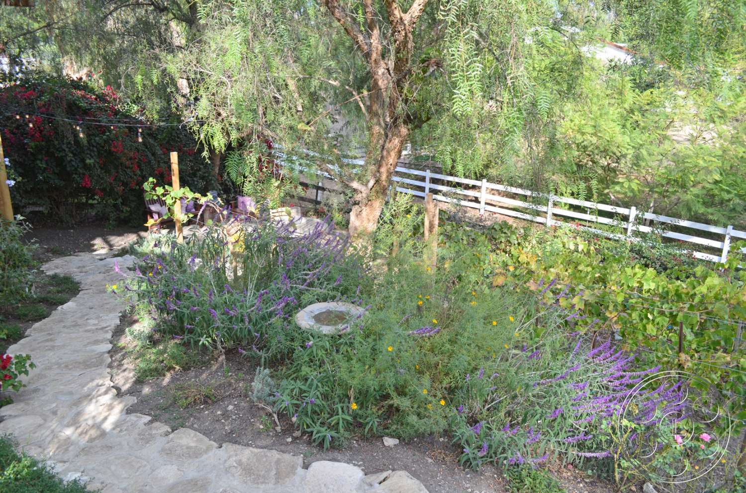 Garden 27 - outdoors, flagstone, garden, arbour, yard, slate