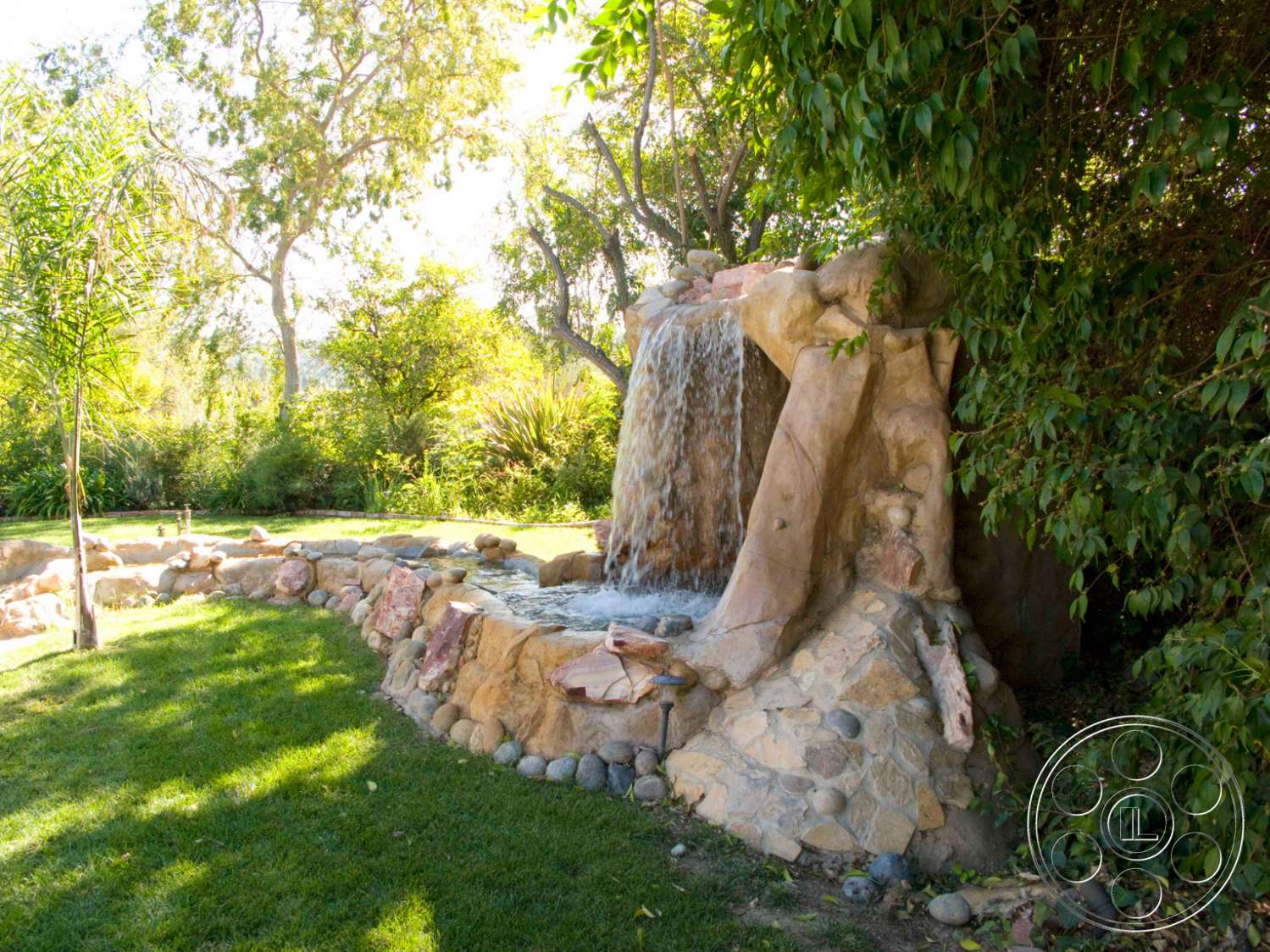 Americana 210 - plant, outdoors, water, grass