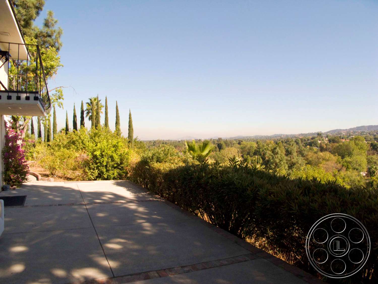 Americana 210 - plant, outdoors, flagstone, tree, vegetation