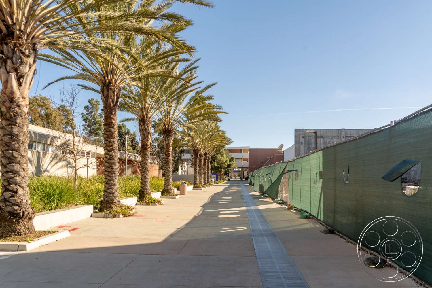 School 3 - road, urban, city, outdoors, tree, street, path, pavement, sidewalk, garden, arbour