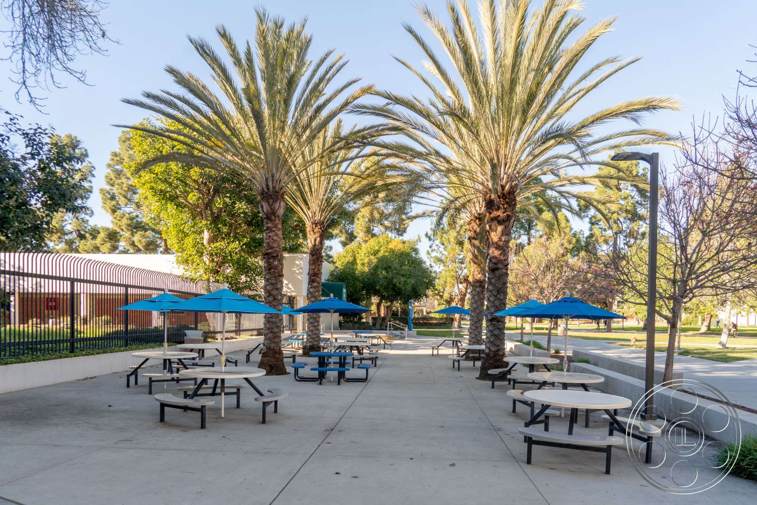 School 3 - furniture, outdoors, tree, bench, grass