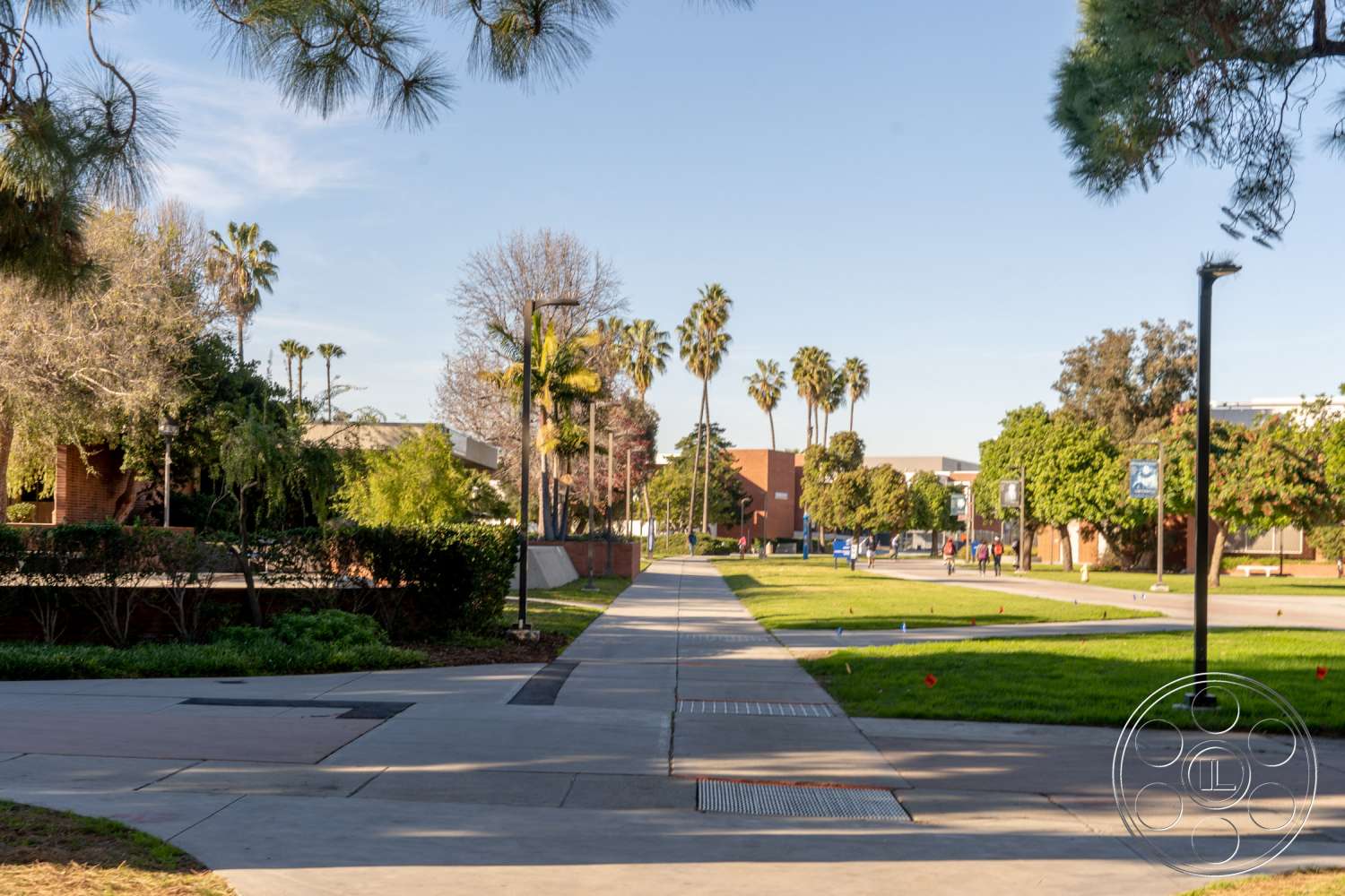 School 3 - road, urban, city, tree, street, path, pavement, sidewalk, grass, neighborhood, suburb