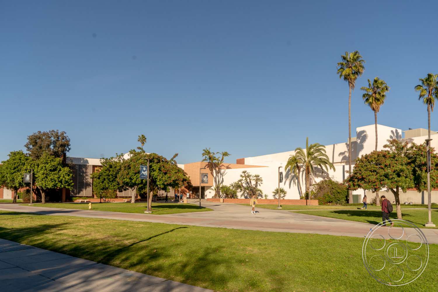 School 3 - outdoors, tree, vegetation, arecaceae, palm tree, grass, campus