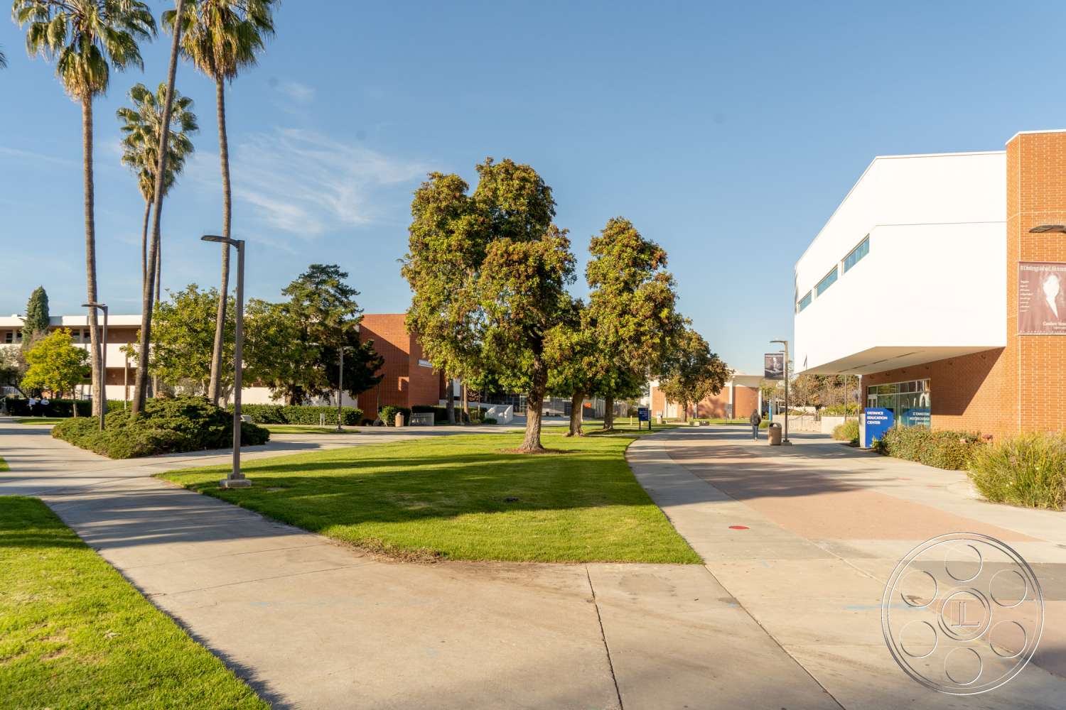 School 3 - road, urban, city, downtown, intersection, tree, street, path, pavement, sidewalk, grass, neighborhood, suburb