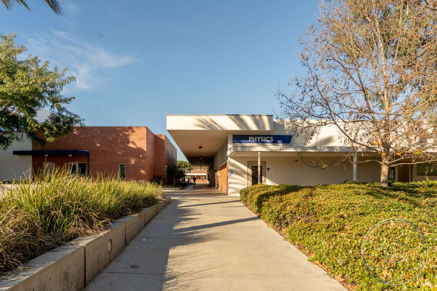 School 3 - office building, tree, vegetation, path