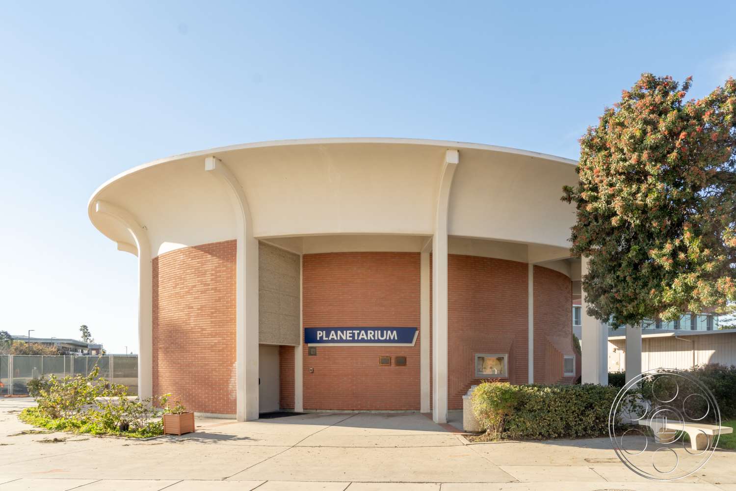 School 3 - tree, vegetation, bush