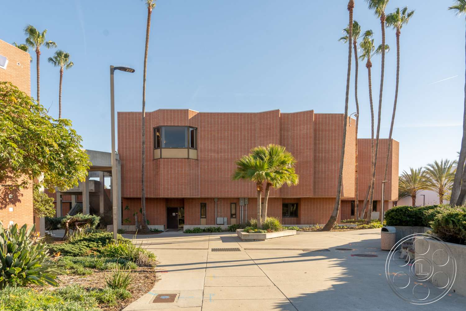 School 3 - urban, city, outdoors, flagstone, tree, arecaceae, palm tree