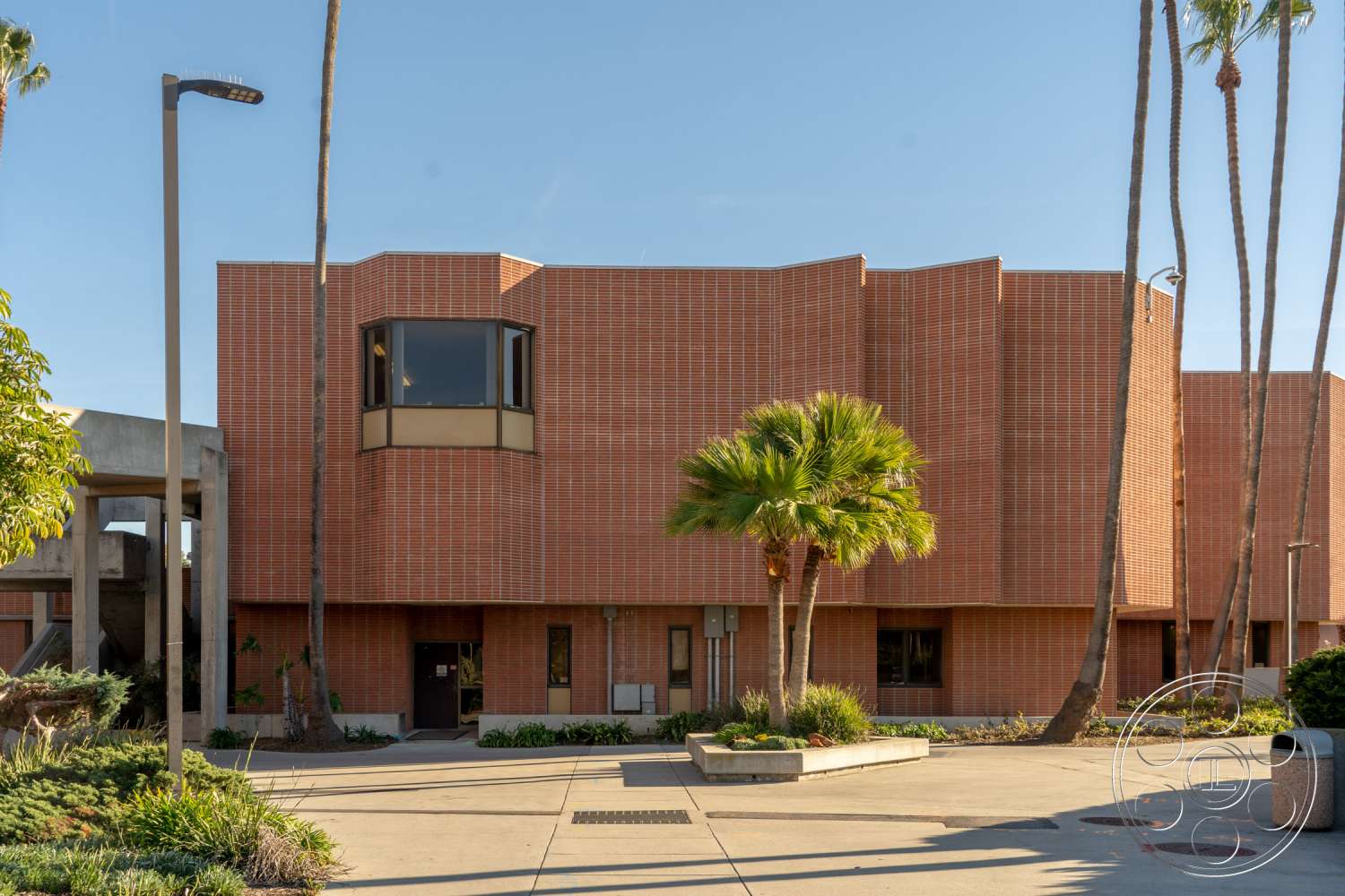 School 3 - office building, outdoors, flagstone, tree