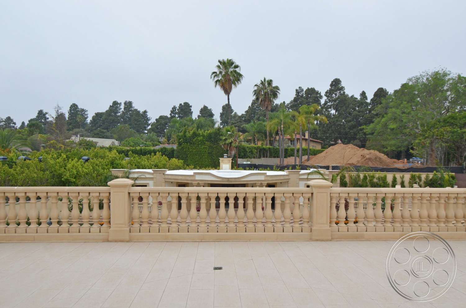 Tiffany Estate - tree, arecaceae, palm tree