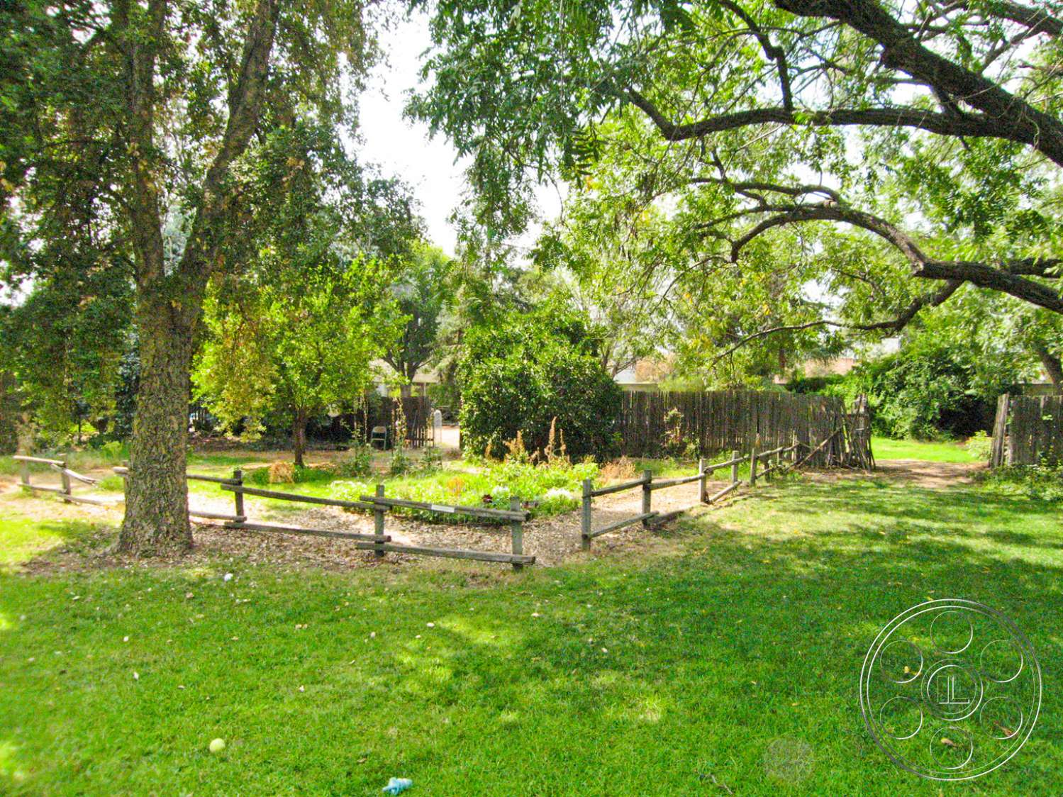 Americana 22 - garden - plant, outdoors, tree, garden, arbour, yard, grass, lawn, park, garden