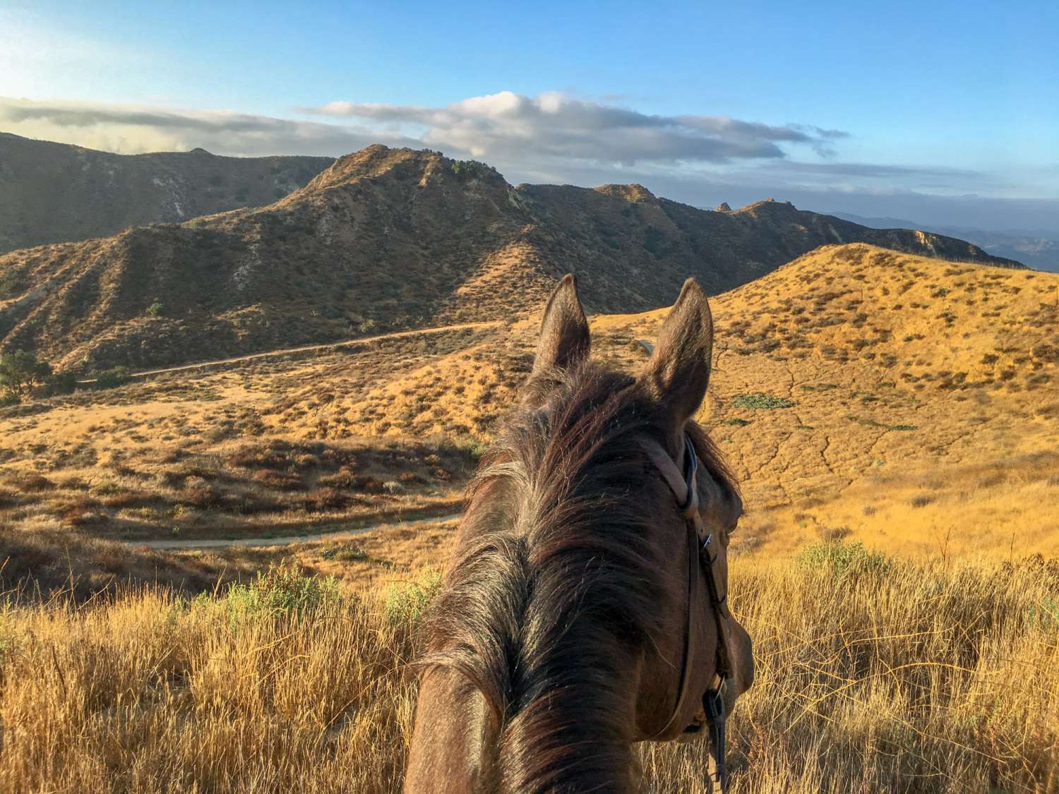 Ranch 64
