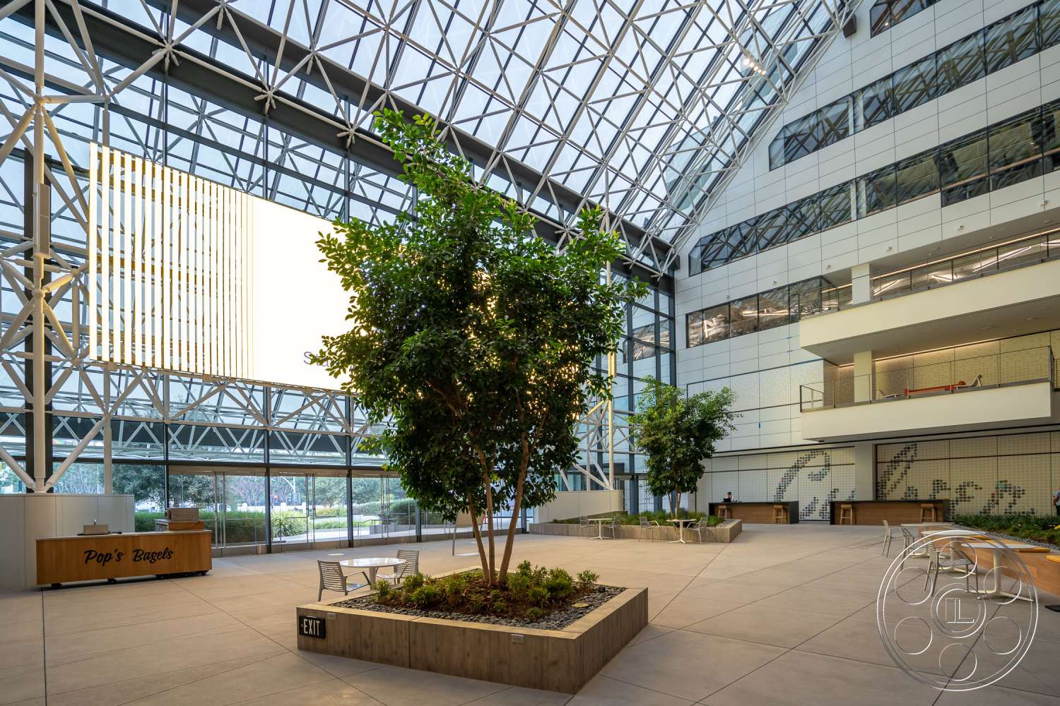 The Atrium - window, office building, skylight