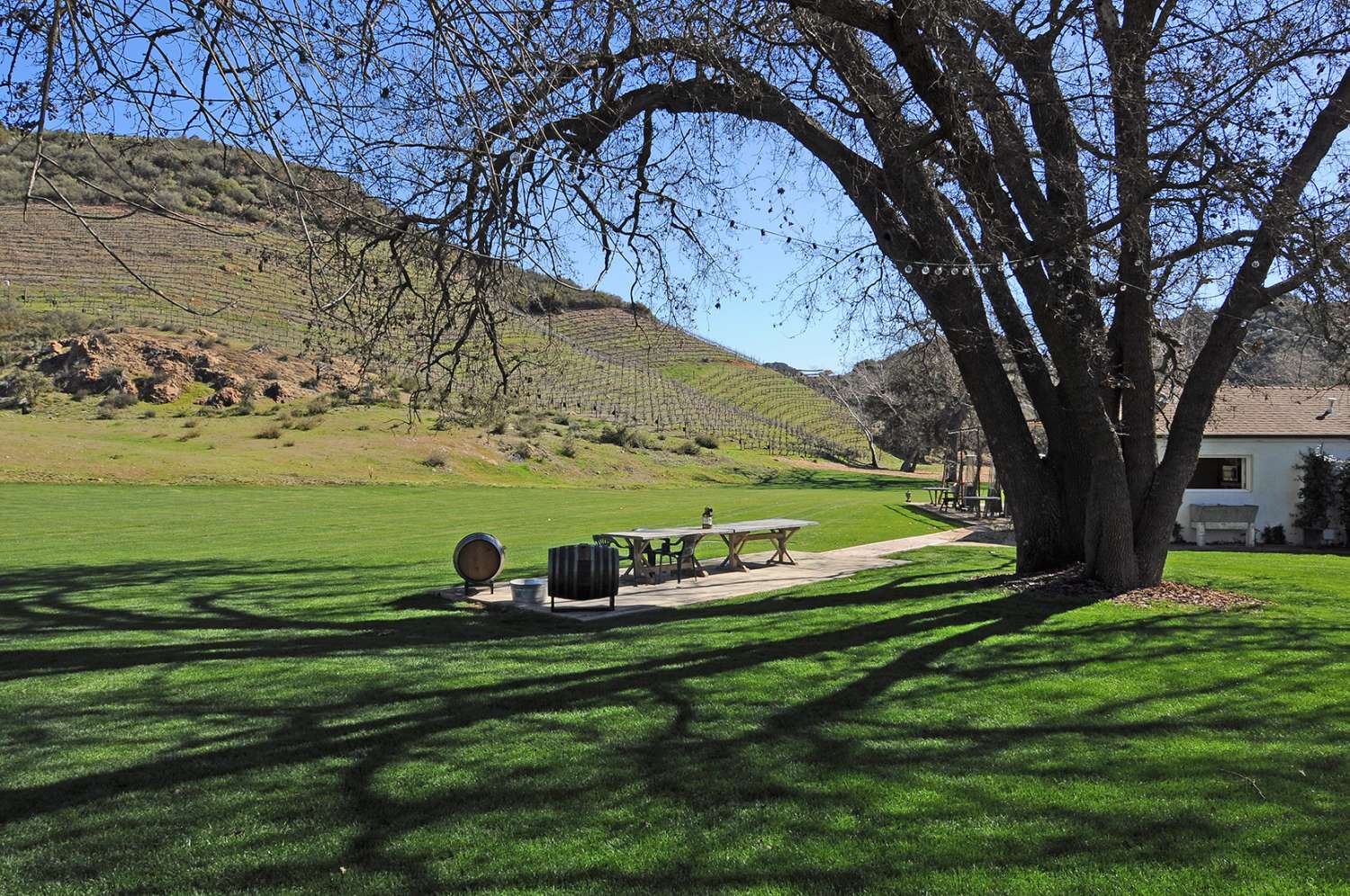 Ranch 14