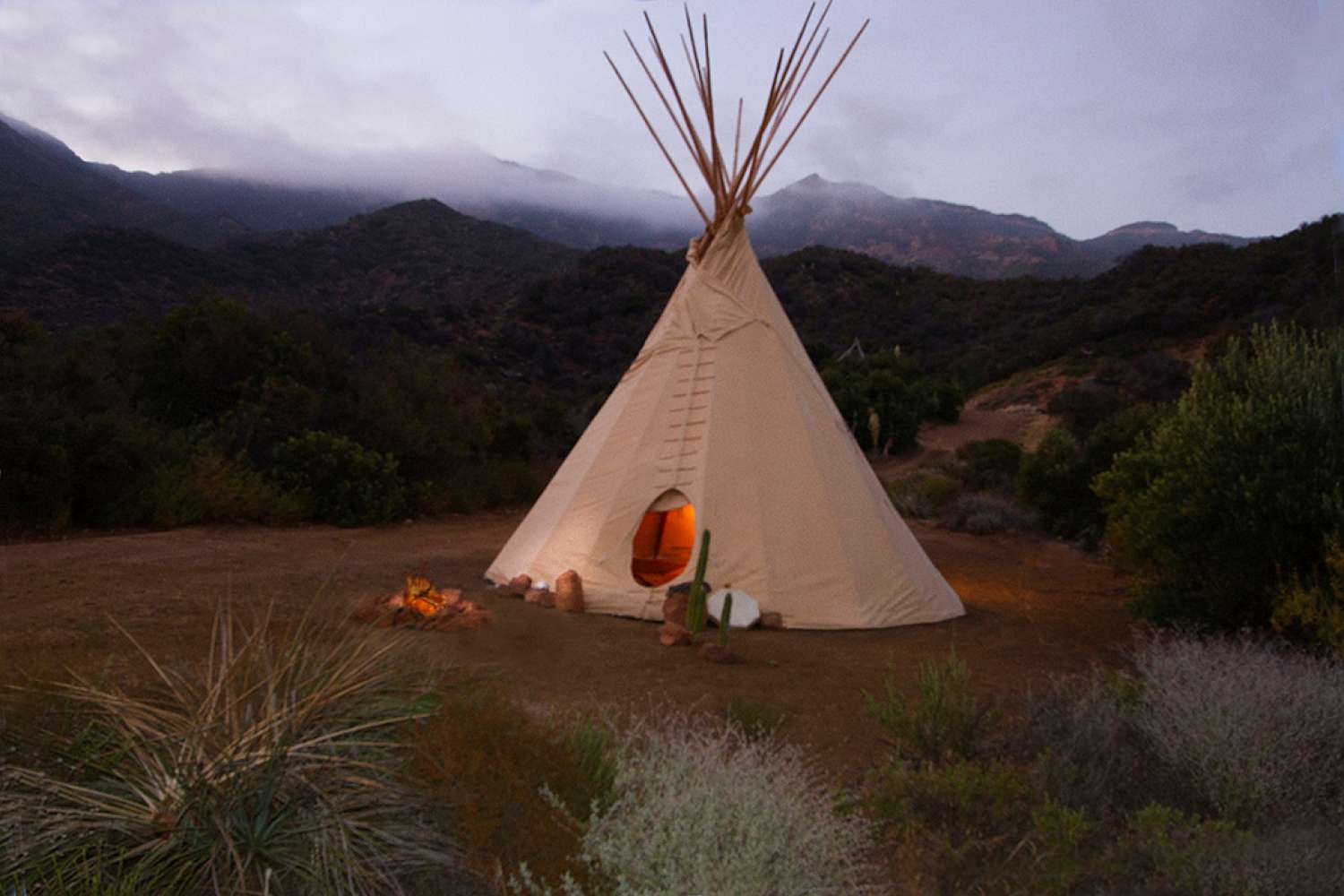 Bohemian 22