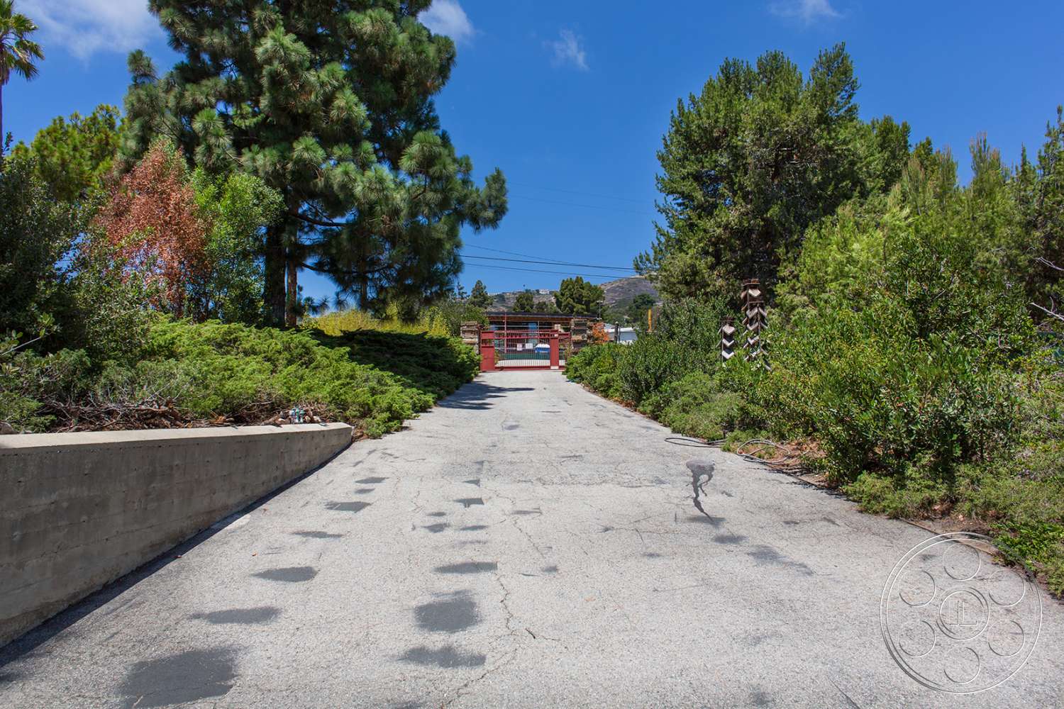 Retro 29 - driveway - road, tarmac, asphalt, outdoors, tree, driveway