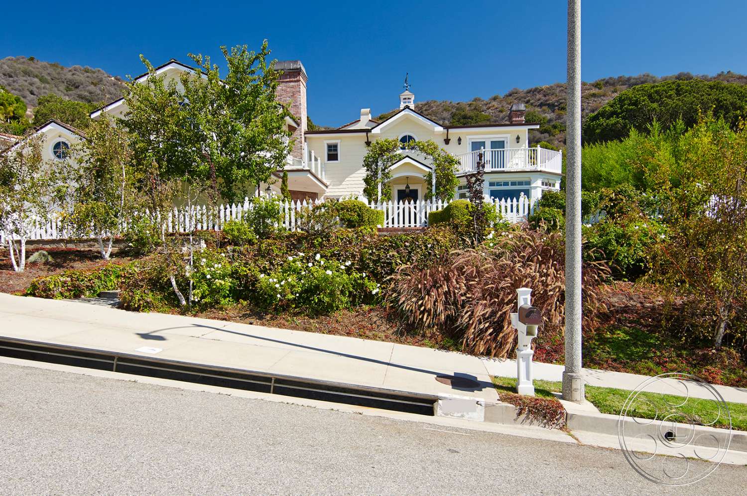 Cape Cod 4 - road, tree