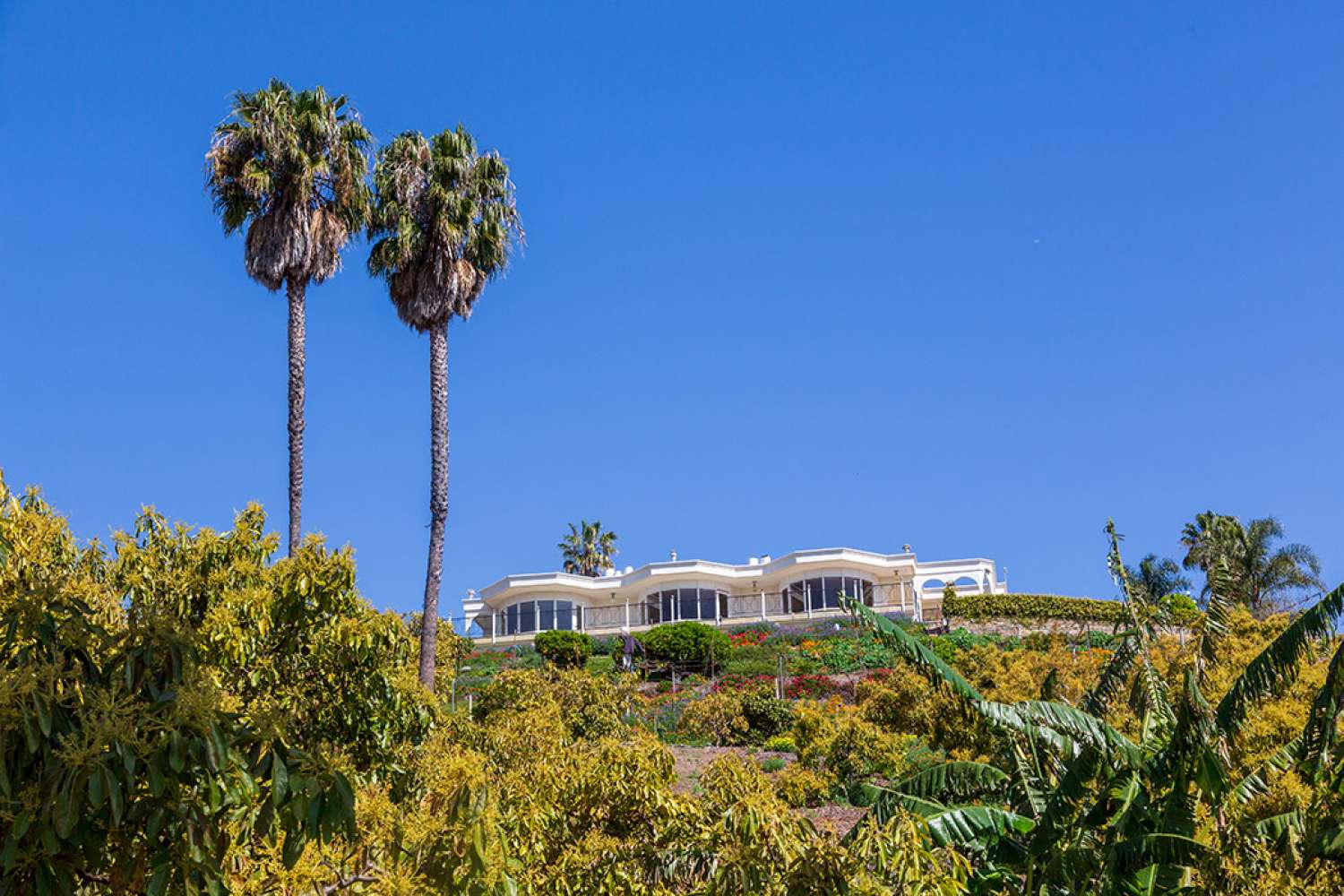 Santa Barbara 56
