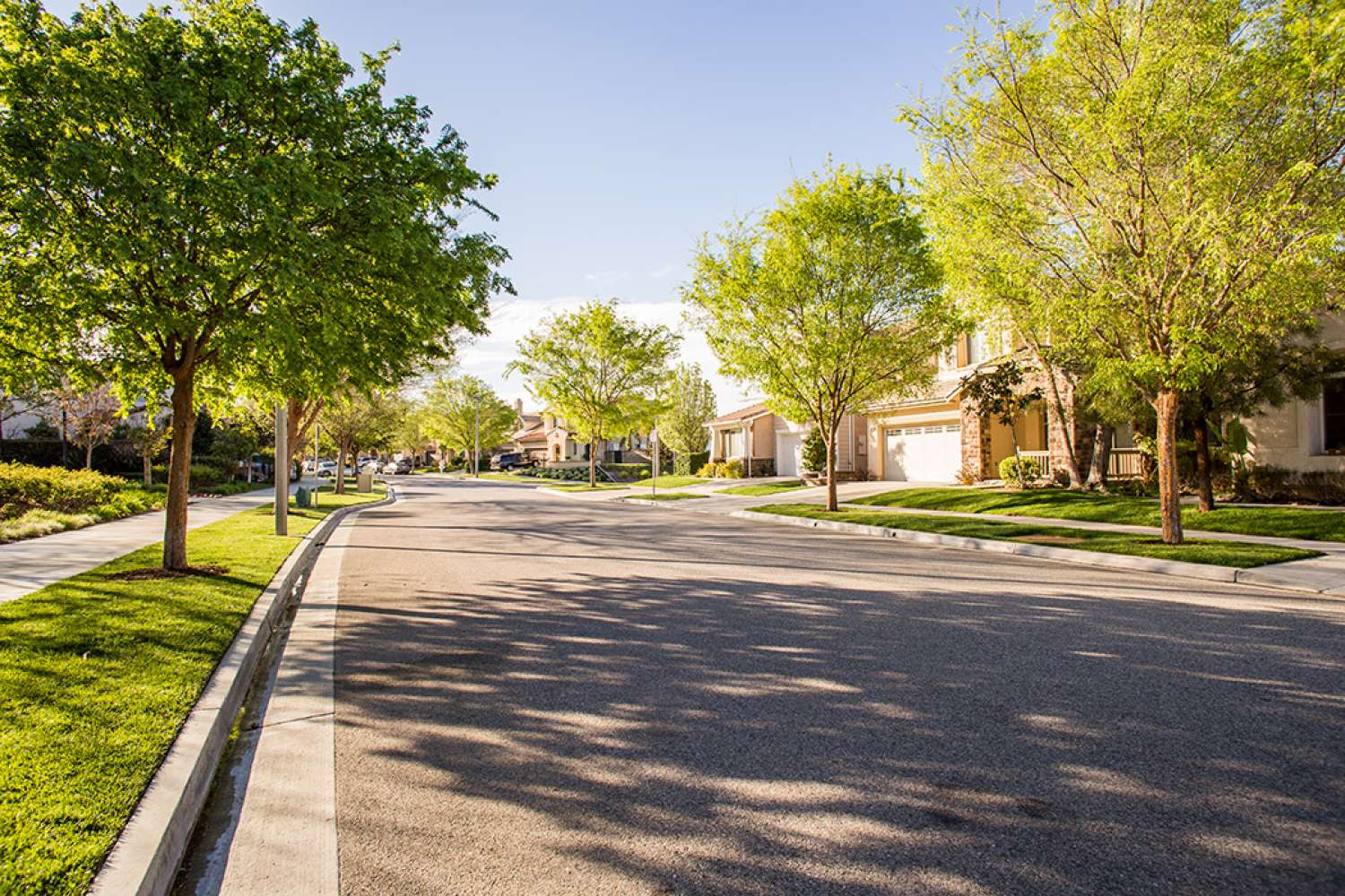 Neighborhood