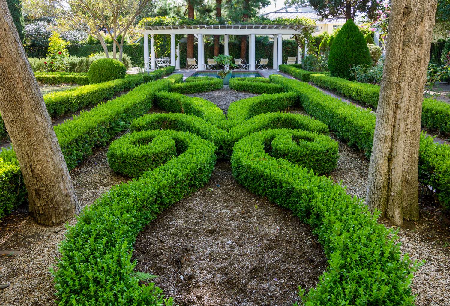 Hedges