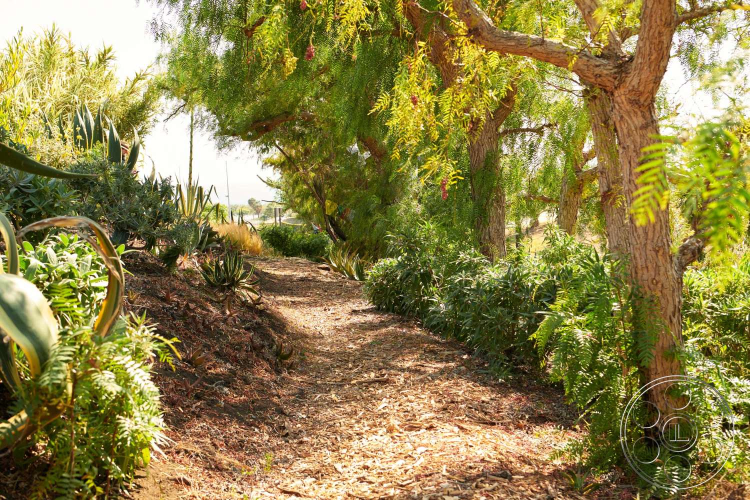 Zen Garden Film At Zen Garden located in Malibu