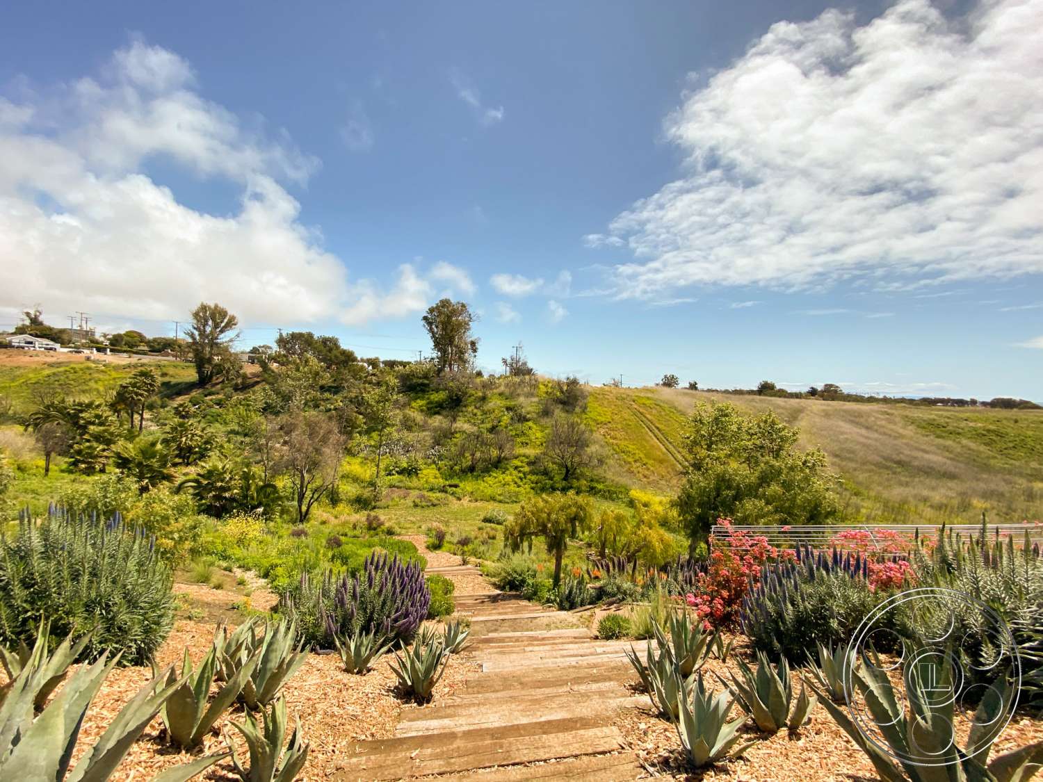 Zen Garden Film At Zen Garden located in Malibu