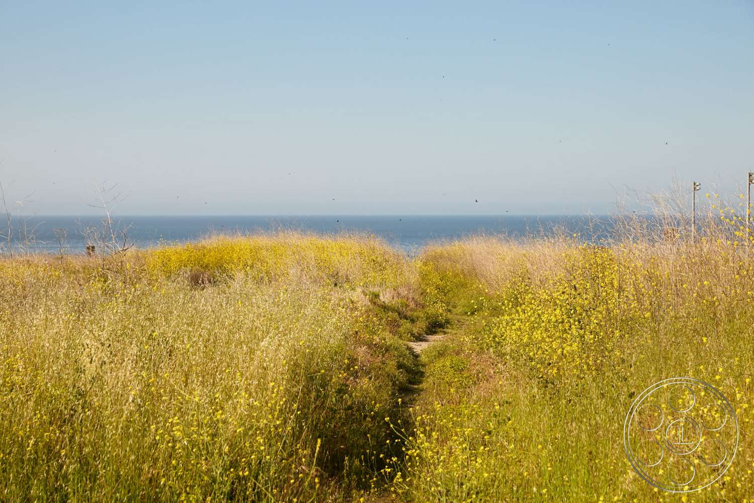 Zen Garden Image Locations Image Locations Filming & Photography