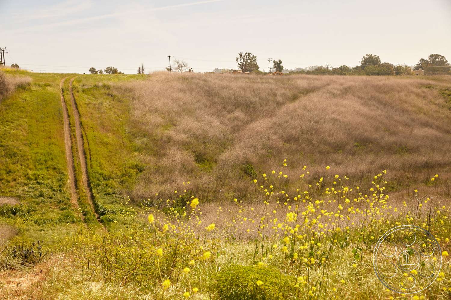 Zen Garden Image Locations Image Locations Filming & Photography