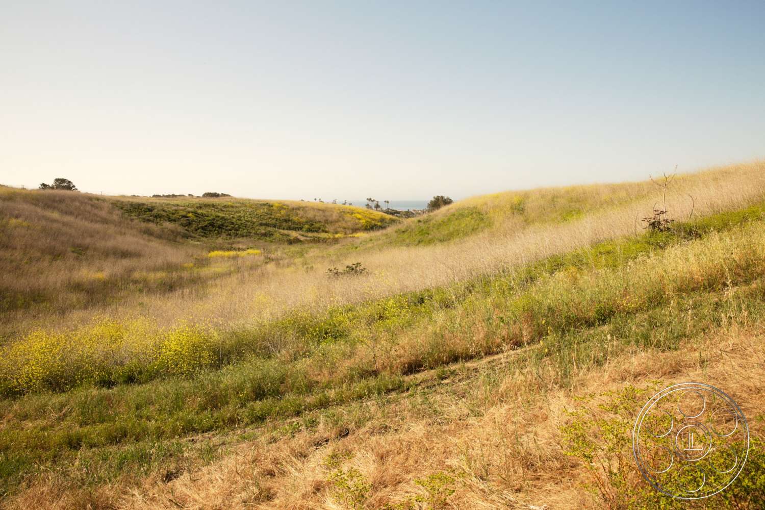 Zen Garden Image Locations Image Locations Filming & Photography