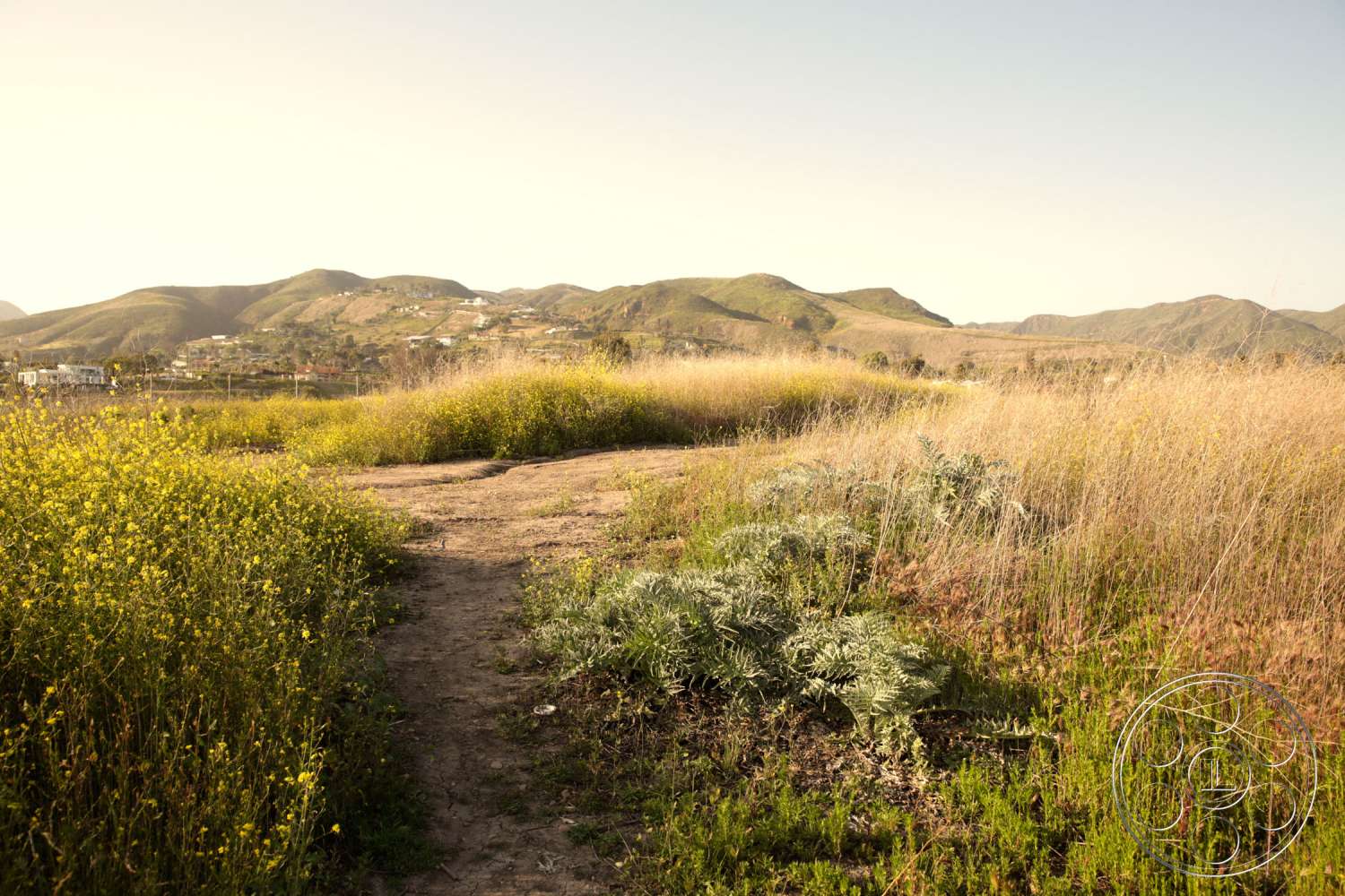 Zen Garden Image Locations Image Locations Filming & Photography