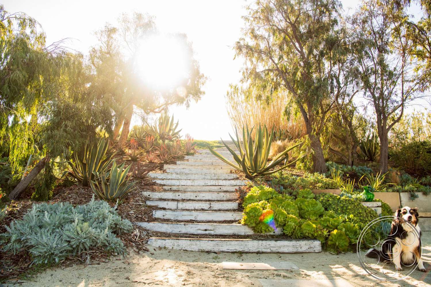 Zen Garden Film At Zen Garden located in Malibu