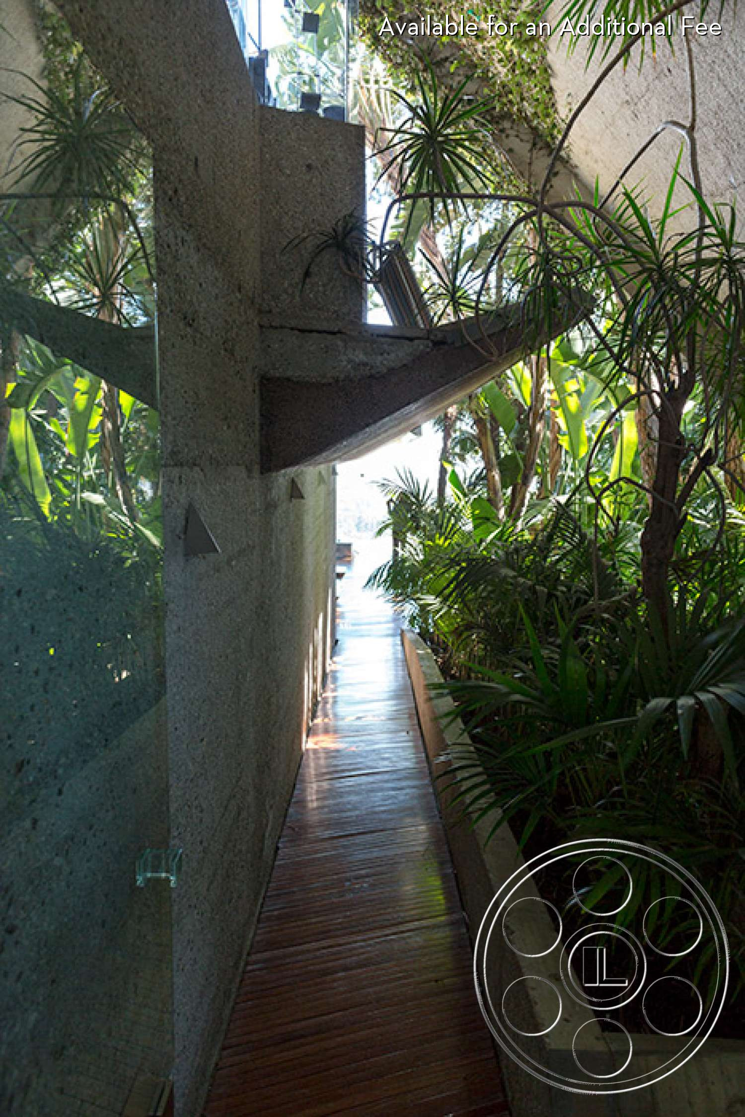 Goldstein House - Outdoors, Arbour, Garden