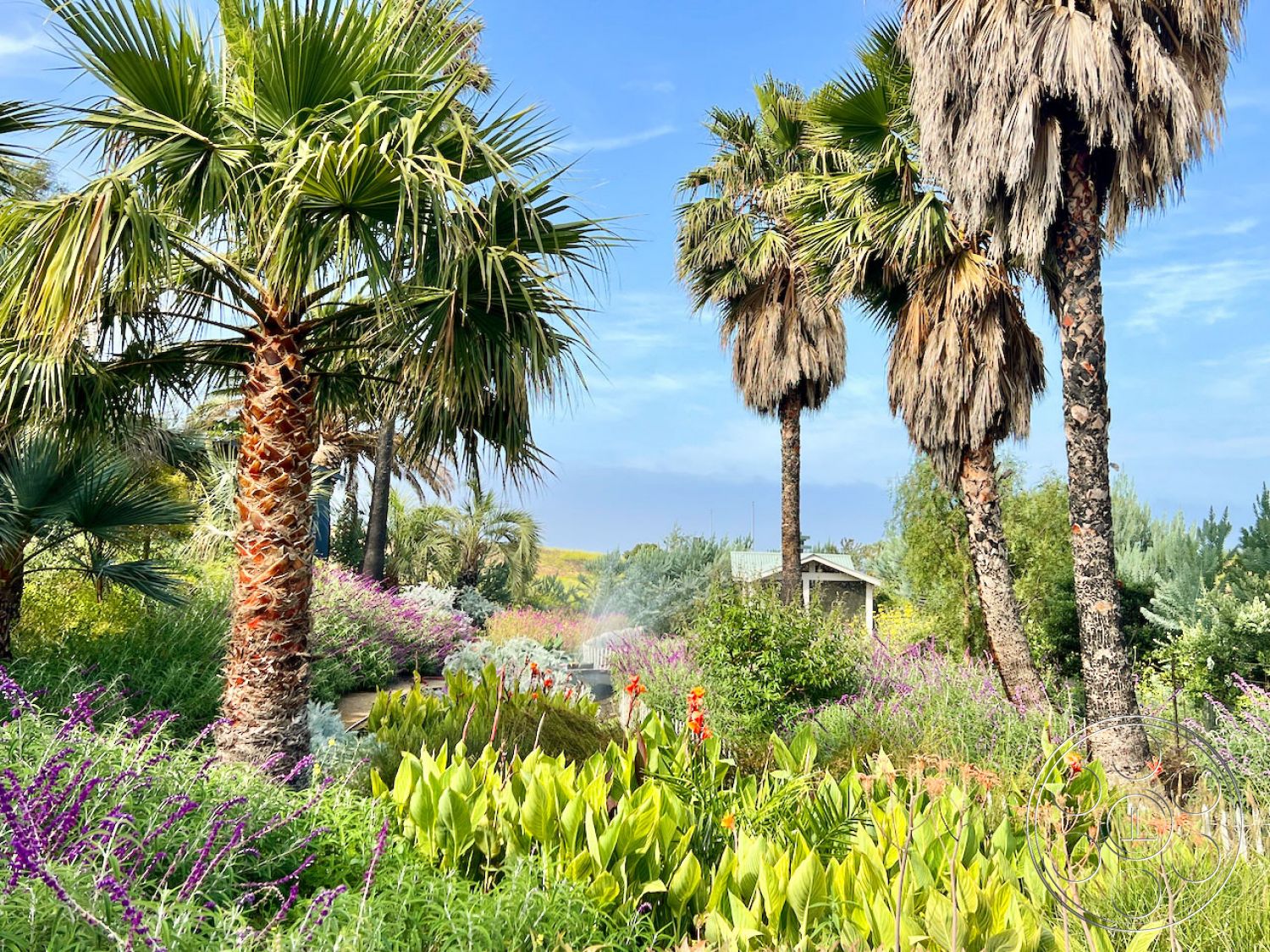 Zen Garden Film At Zen Garden located in Malibu