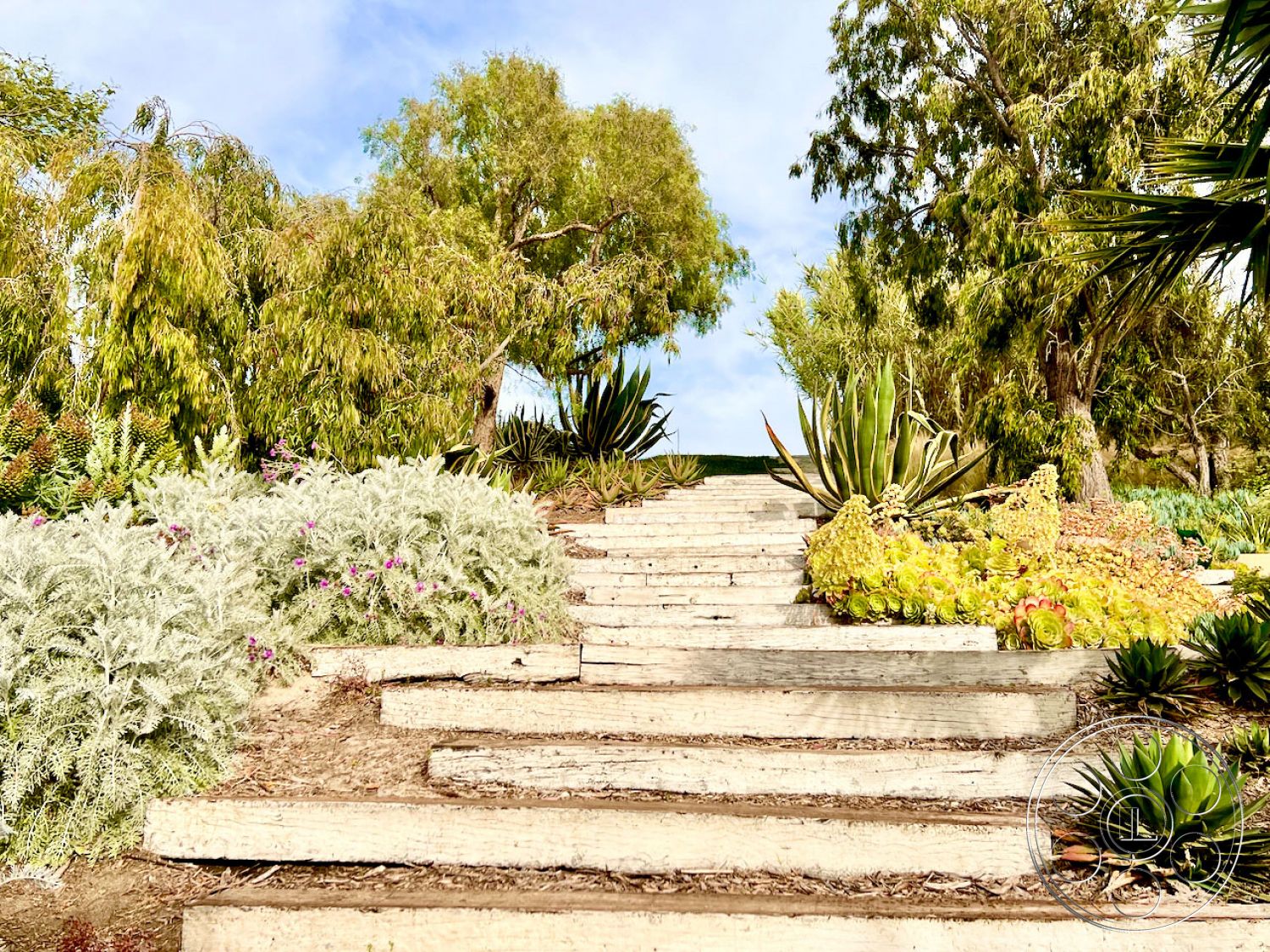 Zen Garden Film At Zen Garden located in Malibu