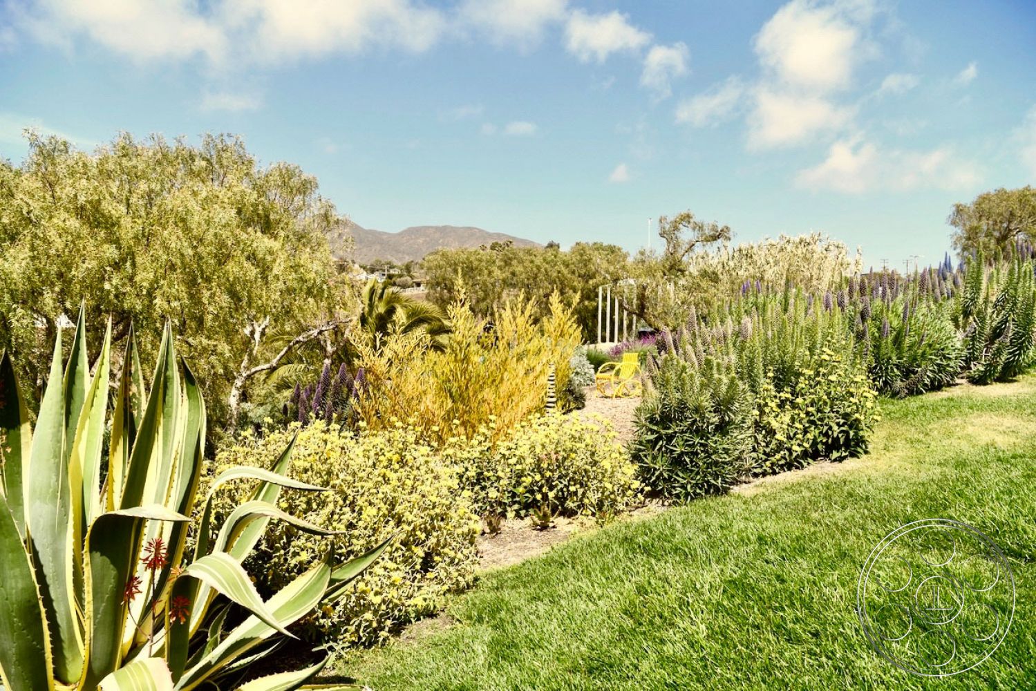 Zen Garden Film At Zen Garden located in Malibu