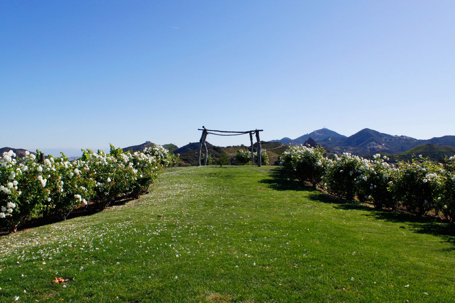 Ranch 2