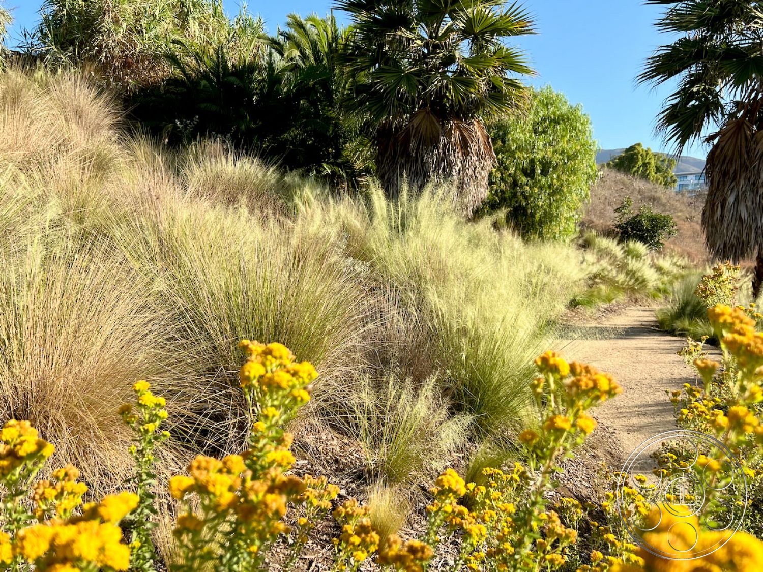 Zen Garden Film At Zen Garden located in Malibu