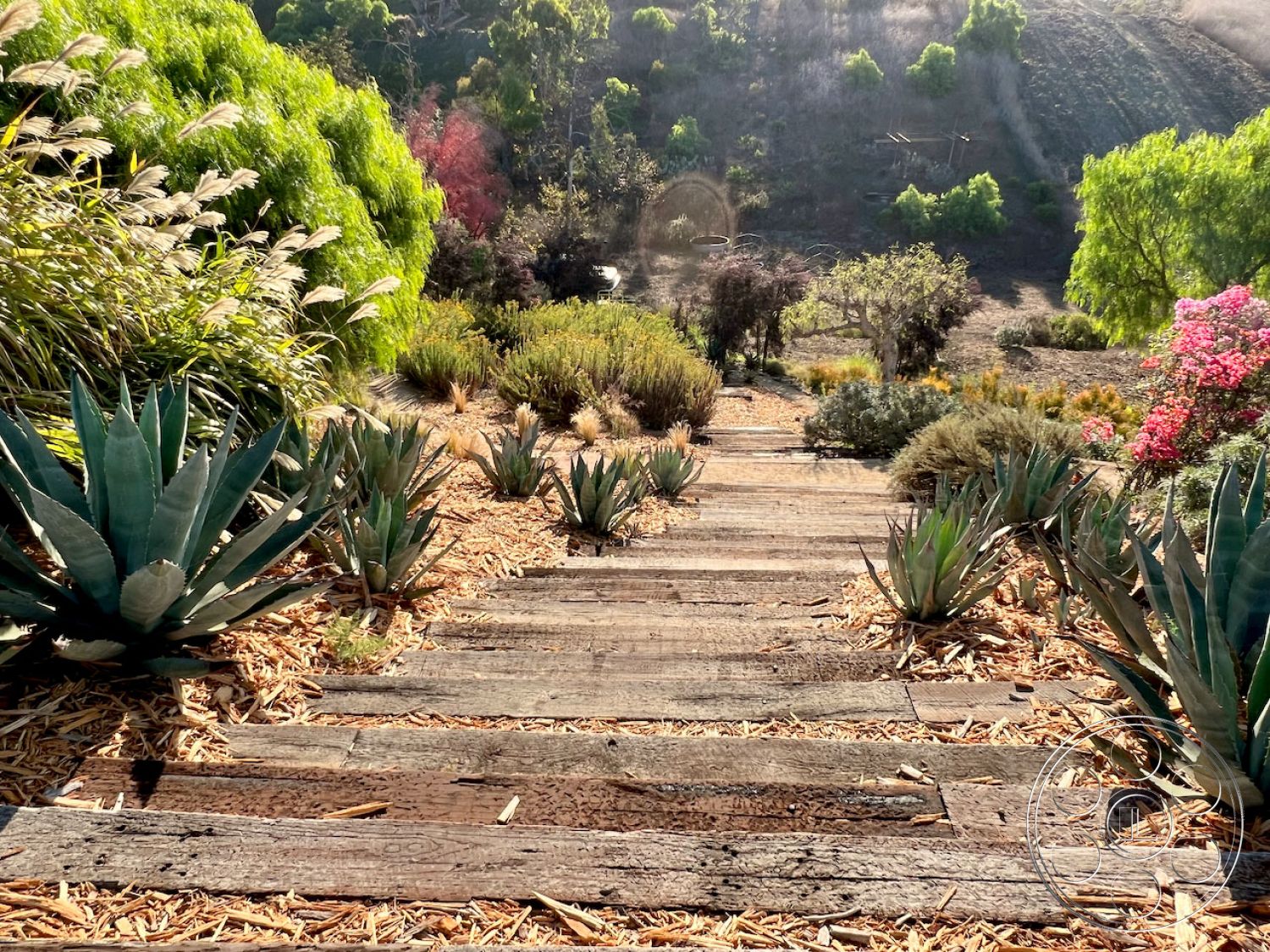 Zen Garden Film At Zen Garden located in Malibu
