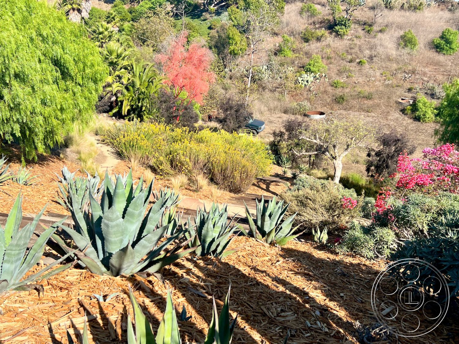 Zen Garden Film At Zen Garden located in Malibu