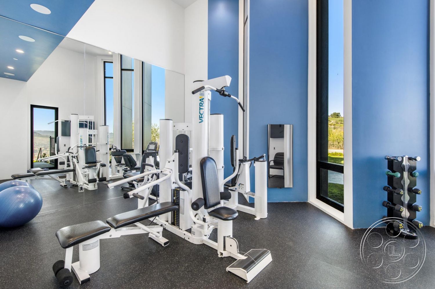 Mansion 126 - Sport, Sports, Fitness, Working Out, Exercise, Gym, mirror, workout equipment, workout room, weights
