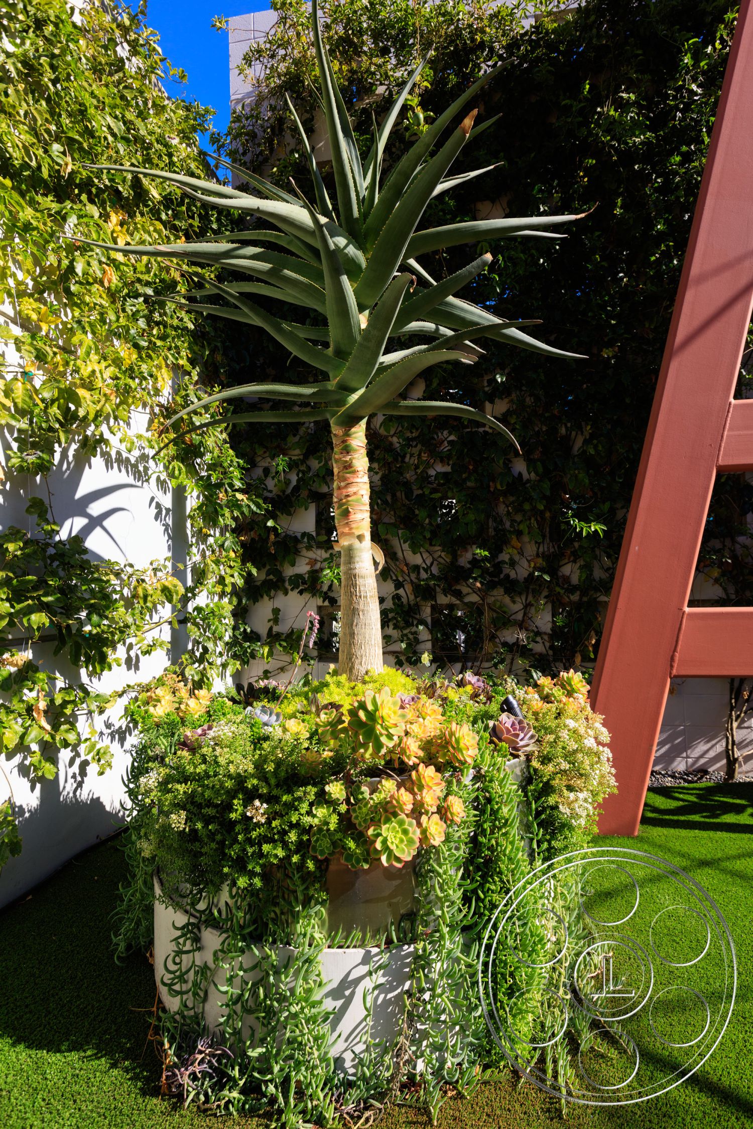 Modern 11 - Outdoors, Nature, Plant, Potted Plant, Garden, grass