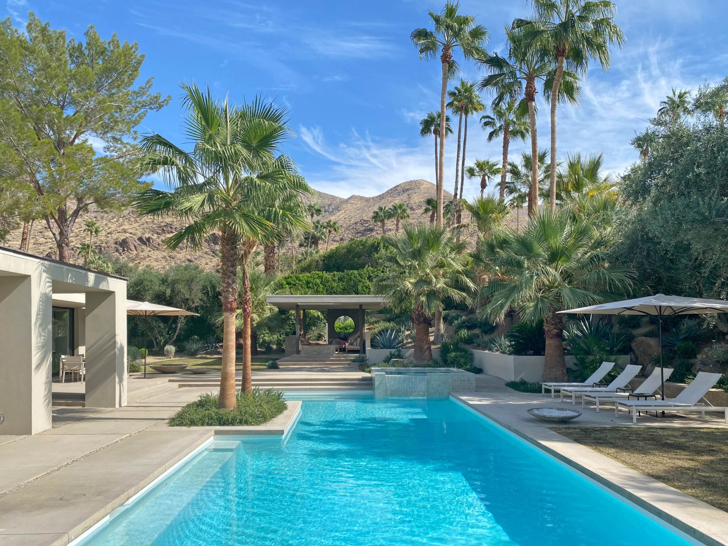 Palm Springs 103