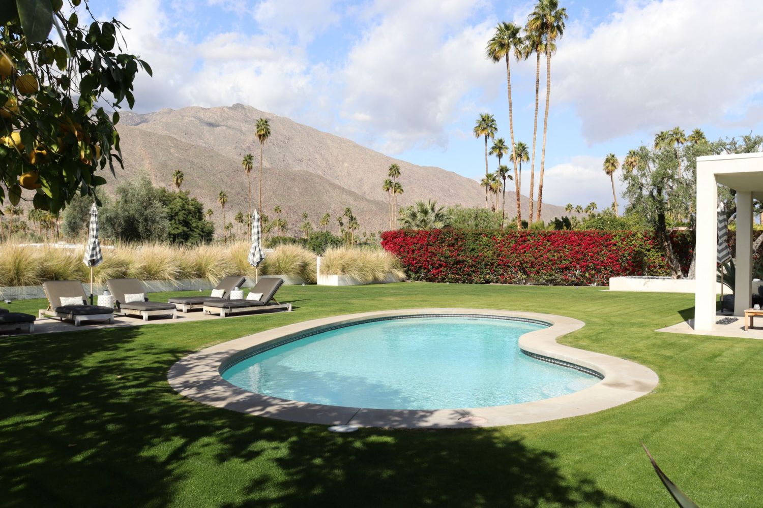 Palm Springs 35