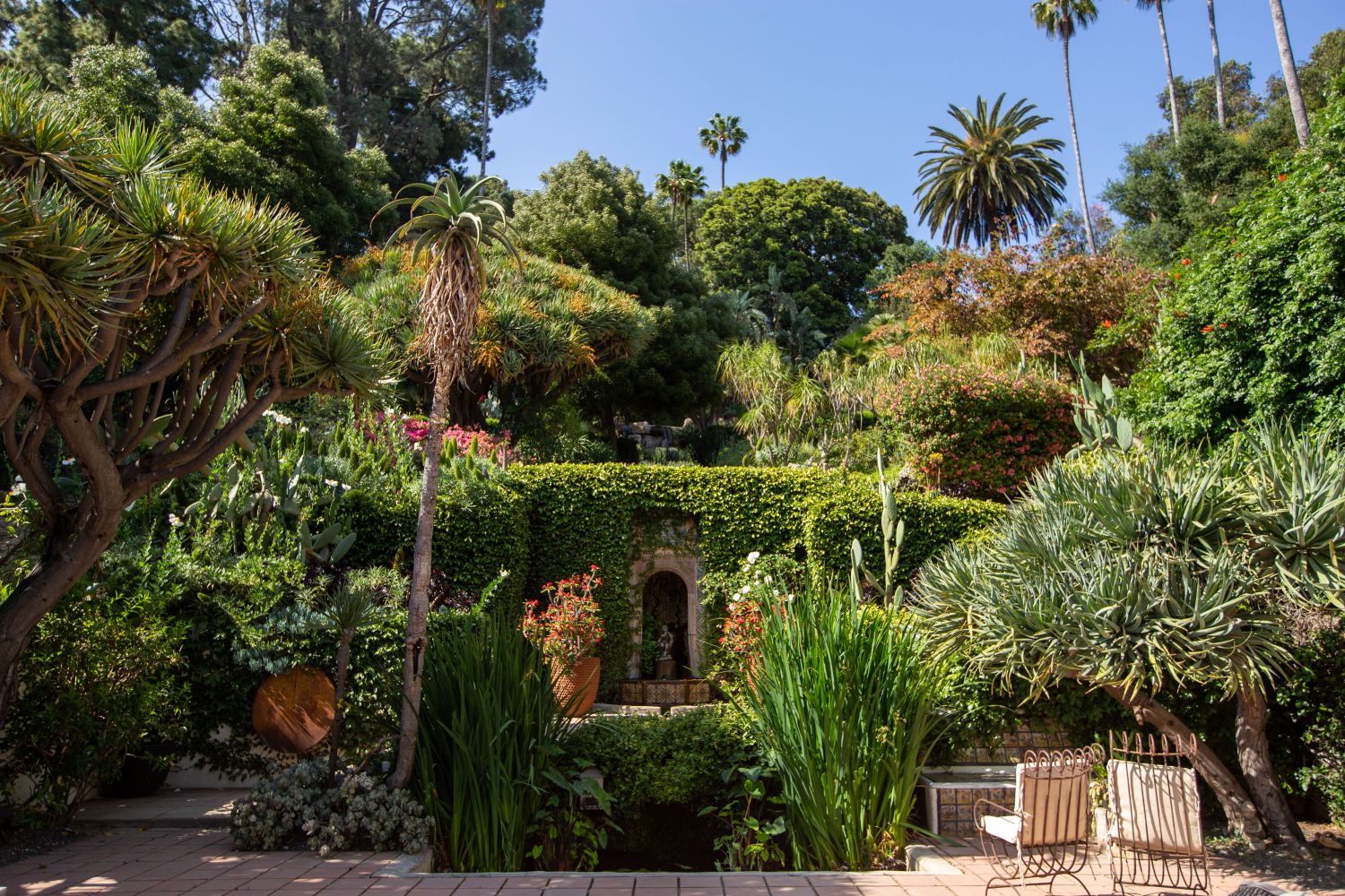 Garden 32