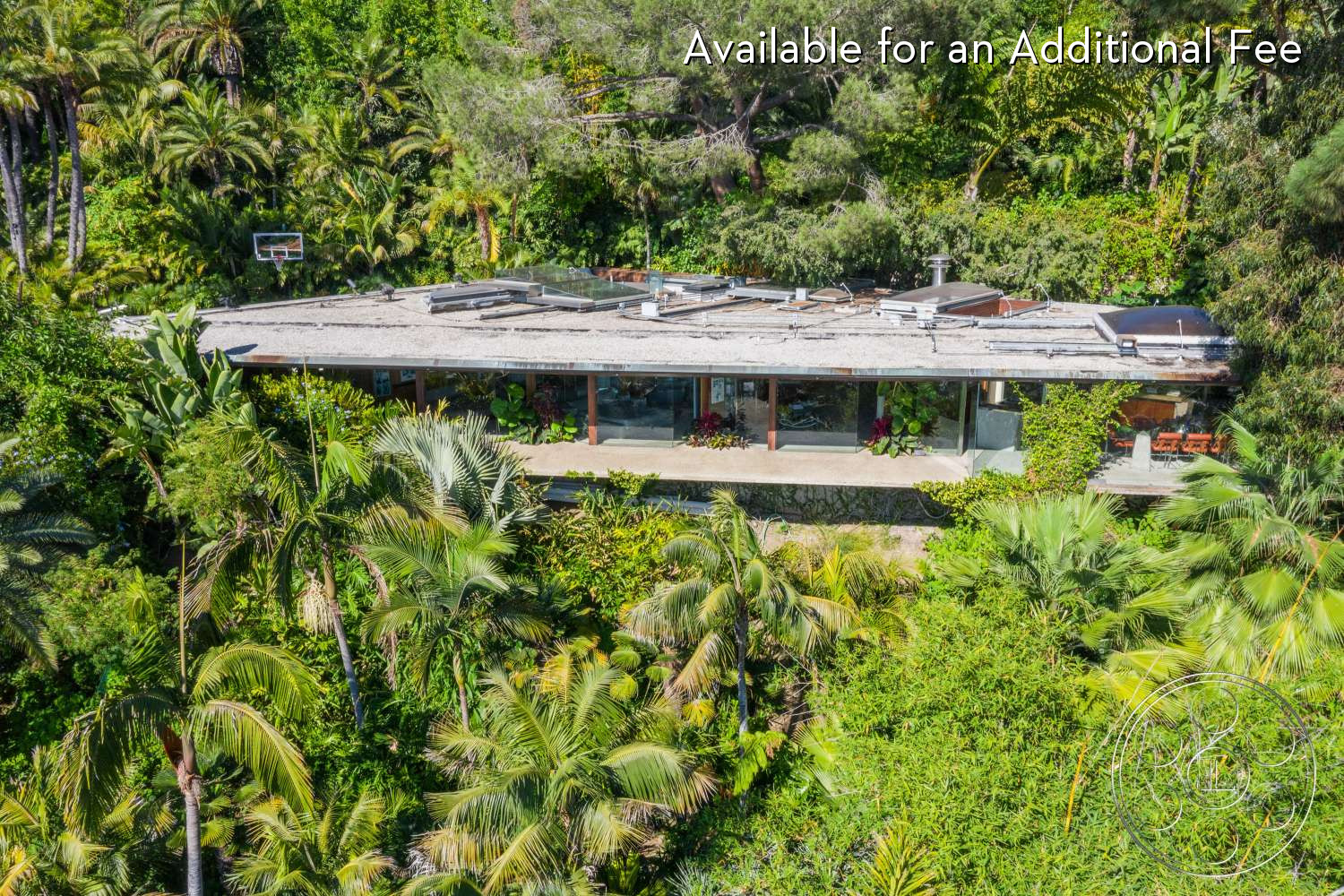 Goldstein House - Outdoors, Countryside, Tree, Vegetation, Rural, Land, Woodland, Hut, Jungle, Rainforest